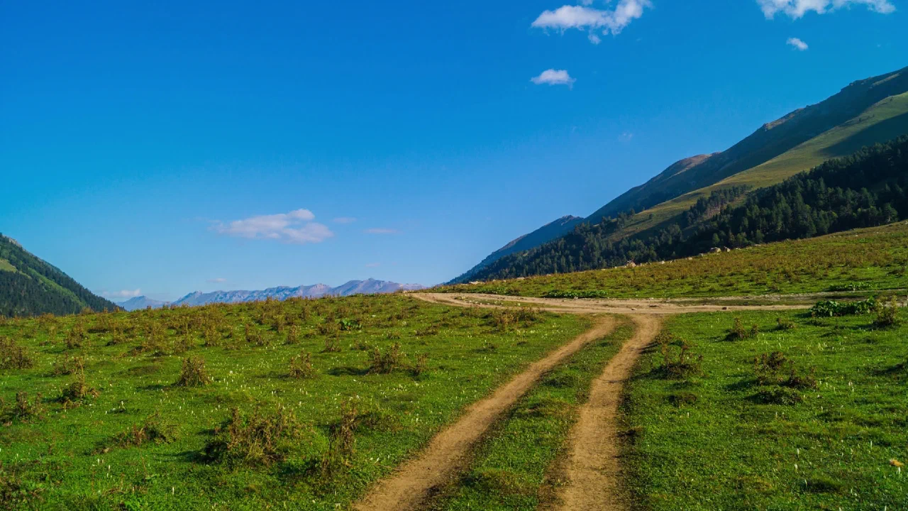 A dirt road running through green highland pasture in the Caucasus mountains